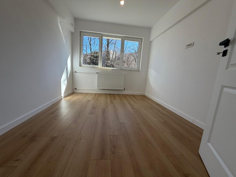 Dristor- Odobesti- langa parcul IOR